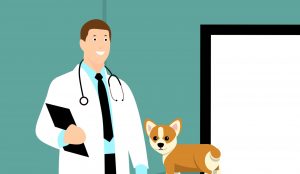 Cartoon Vet and Dog